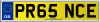 PR65 NCE