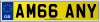 AM66 ANY