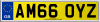 AM66 OYZ