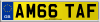AM66 TAF