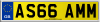 AS66 AMM