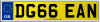 DG66 EAN