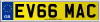 EV66 MAC