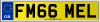 FM66 MEL