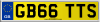GB66 TTS