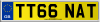 TT66 NAT
