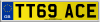 TT69 ACE