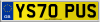YS70 PUS