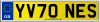 YV70 NES