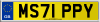 MS71 PPY