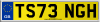 TS73 NGH