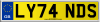 LY74 NDS
