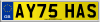 AY75 HAS