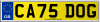 CA75 DOG