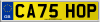 CA75 HOP