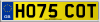 HO75 COT